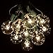Hometown Evolution, Inc. 50 Foot G50 Patio Globe String Lights with 2 Inch Clear Bulbs with Green Wire (+2 Free Spares) for Outdoor String Lighting
