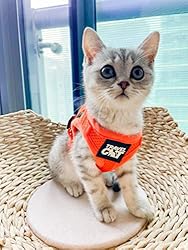 Travel Cat Harness and Leash Set - Adjustable
