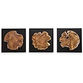 Uttermost 04336 Kolini - Wall Decor (Set of 3)-25.6 Inches Tall and 25.6 Inches Wide