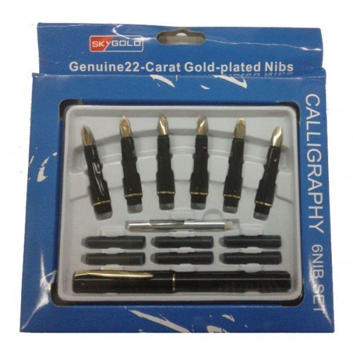 Calligraphy Fountain Pen Set for Beginners with 7 Different Size Nibs