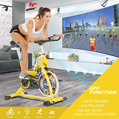 ANCHEER Indoor Cycling Bike Stationary Exercise Bikes with 49LBS