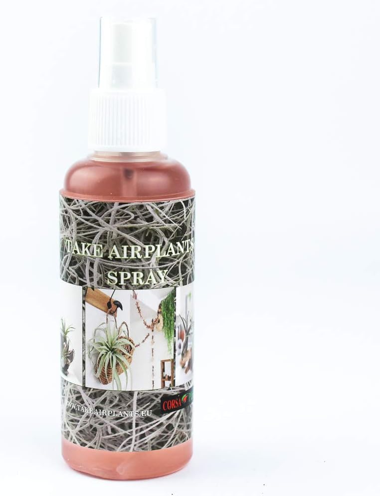 Abono para Tillandsia 125ml Fertilizante para Plantas Aéreas Spray ...