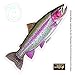 Enjoy It Wild Wings Rainbow Trout Full Color Car Sticker, Outdoor Rated Vinyl Sticker Decal