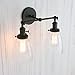 Permo Double Sconce Vintage Industrial Antique 2-Lights Wall Sconces with Oval Cone Clear Glass Shade (Black)