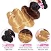 Ombre Brazilian Hair Bundles with closure Body Wave 8A Grade Human Virgin Hair Remy Hair Weaves 100% Unprocessed Human Hair Extensions Fabc Hair (14 16 18+12inch with closure, 1b/4/27)