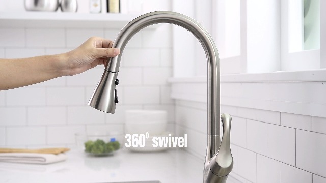 6 APPASO+Stainless+Functions+Sprayhead+K123+BN