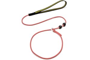 BeauGo Slip Leads for Dogs,Top Speed Training Dog Leash,2-in-1 Slip Collar Dog Training Lead & Collar,4ft Thin Slip Lead,sturdyand Durable, Leash Suitable for Small, Medium, and Large Dogs(Pink)