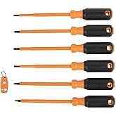 Klein Tools 85077INSR Insulated Screwdriver Set with Magnetizer, Made in USA, 1000V Electrical Screwdrivers, Phillips, Slotte