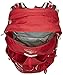 Osprey Packs Osprey Talon 22 Backpack, Martian Red, M/l, Medium/Large