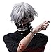 Aplus - Tokyo Ghoul Anime Ken Kaneki Cosplay Wig Silver White Hair + Cap (One Size, Silver.)