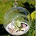 Set of 18pcs 3.15 inches Hanging Tealight Candle Holder Glass Globes DIY Plants Terrarium Wedding Home Decorations…