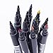 Dual Tip Watercolor Markers - Brush Colored Pens for Adult&Kids Coloring Books, Fine&Brush Tip,Pack of 12