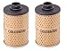 Goldenrod Replacement Fuel Filter Element - Fits Item# 1703(470-5) (2-(Pack))