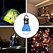 2 Pack Portable LED Lantern Lamp, Ecurfu Bulb Tent Light for Backpacking Hiking, Battery Powered Camping Equipment for Outdoor & Indoor Blue