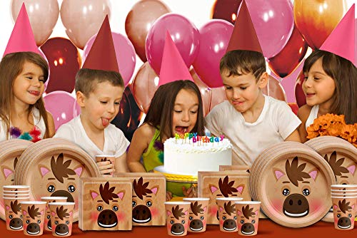 Horse Birthday Party Supplies Set Plates Napkins Cups Tableware Kit for 16