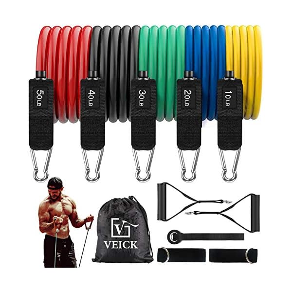 veick resistance bands workout