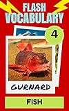 Flash Vocabulary #4: 101 Fish (Flash Vocabulary Builders)