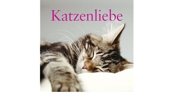 Get Sprueche katzenliebe Desktop Wallpaper Free Sprueche Katzenliebe