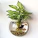 kathson Home Decoration Pot Wall Hanging Mount Bubble Aquarium Bowl Fish Tank Aquarium(White,7.6in H:3.6in) (White)