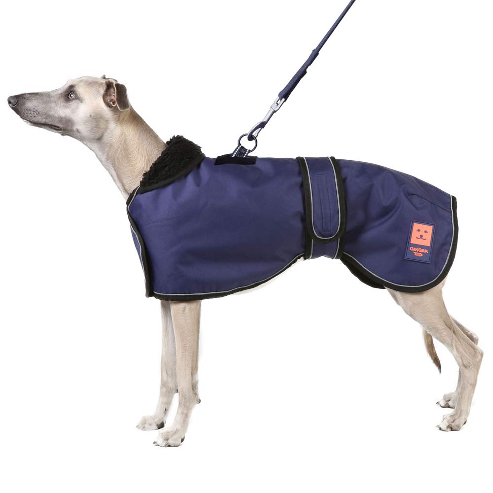 Ginger Ted Shower Harness Waterproof Greyhound Coat Extra Large size