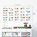 DECOWALL DW-1308 Alphabet ABC and Animals Kids Wall Stickers Wall Decals Peel and Stick Removable Wall Stickers for Kids Nursery Bedroom Living Room (Medium) d?cor