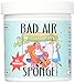 Bad Air Sponge