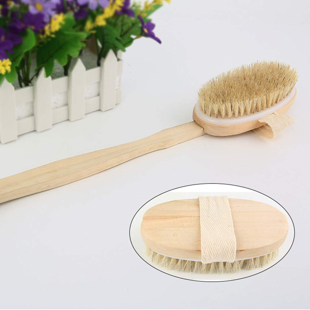Body Brush - Brush Bath for Wet or Dry Brushing 100% Natural Bristle Detachable Handle Promote Lymphatic Draining Stimulate Blood Flow Skincare Cellulite Treatment & Exfoliator Brush