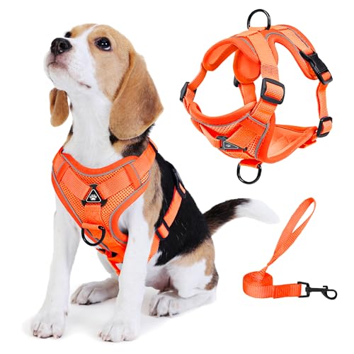 Jolifield Dog Harness Medium Sized Dog Pet