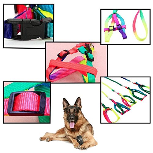 Runfish colorful pet harness dog traction with rope chain tether strap (S(neck circumference ：7.8-13.3 in))