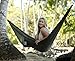 Big W Hammock for Camping, Backpacking, or Hangout Wildwood Hammocks are Ultralight, Strong, Portable; Durable Parachute Nylon; Triple Stitching; Carabiners for Easy Hanging