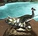Pacific Giftware Regal Peacock Perch On Rock Solar Powered Light Decorative Indoor Outdoor Statue 12 Inch L Beautiful Blue Gemstone Blue Green Peafowl Plumage Sculpture