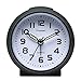 Plumeet Non Ticking Travel Alarm Clock with Snooze and Nightlight, Cute Colour for Kids, Ascending Sound Alarm, Easy to Set, Handheld Sized, Battery Powered (Black)