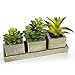 MyGift Set of 3 Realistic Artificial Succulent Plants w/Rustic Style Wood Square Pots & Rectangular Tray