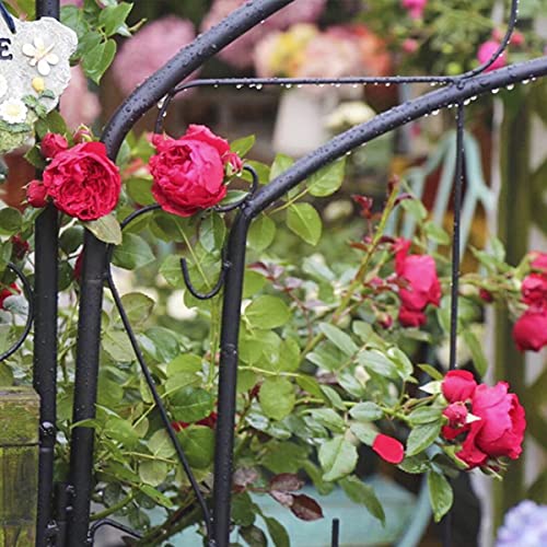 SYLJ Rosenbogen Torbogen aus Metall mit Tür, 215 x 115 x 43 cm Stereoskopischer Gartenbogen, witterungsbeständig,für… – Bild 6