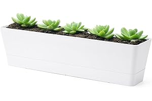 GREANER 16x3.8 Inch Window Boxes Planters, 1PCS White Vegetable Herb Planters with Tray, Indoor Succulent Cactus Flowers Plastic Rectangle Pot for Balcony, Office, Garden, Outdoor, Windowsill