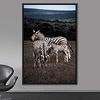 Framed Canvas Wall Art Zebra Animals Dramatic Farmhouse/Country Living Room Multicolor Photography Zebra - 16x24 inches