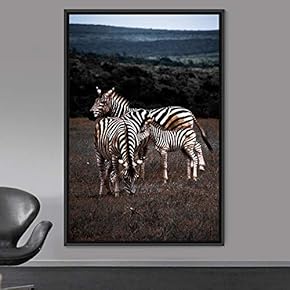 signwin Framed Canvas Wall Art Zebra Animals Dramatic...