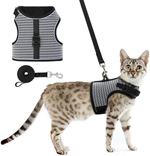 medium cat harness
