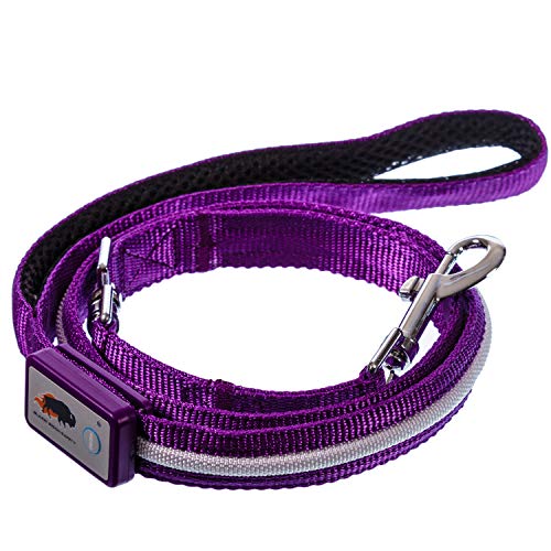 Blazin' Safety LED Dog Leash USB Rechargeable Flashing Light, 4 Ft