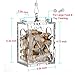 KINTOR Parrot Creative Foraging Toy Feeder Bird Cage, Big Size 4.8×3.6×2.6inchthumb 1