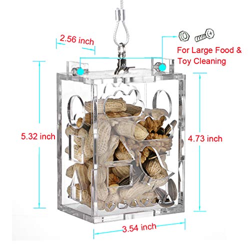 1 KINTOR+Parrot+Creative+Foraging+4+8x3+6x2+6inch