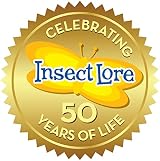 Insect Lore Giant Butterfly Garden with Caterpillars & Lifecycle Stages view 8