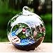 Set of 18pcs 3.15 inches Hanging Tealight Candle Holder Glass Globes DIY Plants Terrarium Wedding Home Decorations…