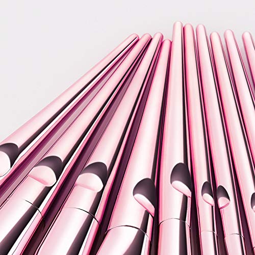 Winsummer 10 Pieces Makeup Brushes Sets Premium Makeup Brush Set Cosmetics Premium Synthetic Kabuki Foundation Blending Blush Concealer Eye Shadows Face Liquid Powder Kits with Leather Cosmetic Bag