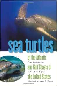 Sea Turtles Of The Atlantic And Gulf Coasts Of The United