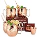 Moscow Mule Copper Mugs - Set of 4-100% HANDCRAFTED Food Safe Pure Solid Copper Mugs - 16 oz Gift Set with BONUS: Highest Quality 4 Cocktail Copper Straws and 1 Shot Glass with Recipe Booklet!