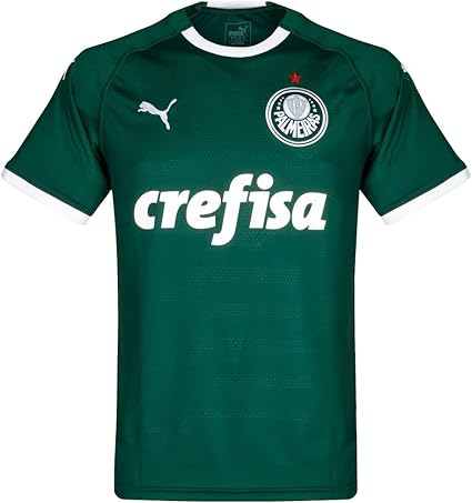 puma palmeiras jersey