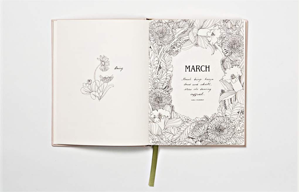 Download Amazon Com The Flower Year A Colouring Book Anglais 9781780679532 Duly Leila Books