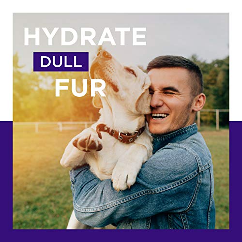 Pet Odor Eliminator Spray for Dogs - Dog Spray For Smelly Dogs and Dog Calming Spray with Lavender Essential Oil - Pet… - Image 6