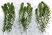 New Anacharis Egeria Elodea Densa Tropical Live Aquarium Aquatic Plant BUY2 +1 Free